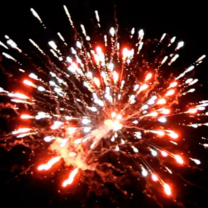 Giant Panda Box® 648 Shot Sampler® - Image 2